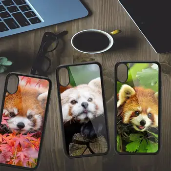 sarkanā panda cute dzīvnieku Telefonu Gadījumā PC iPhone 11 12 13 pro XS MAX 8 7 6 6S Plus X XR Luksusa shell būtiska